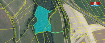 Prodej lesa, 12990 m², Vyšehoří - 2