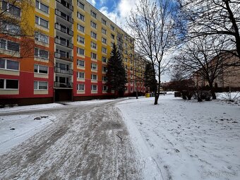 Prodej družstevního bytu 2+1 - 2