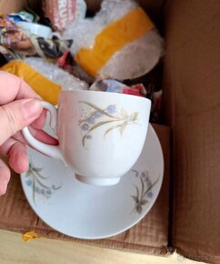 Porcelánový servis Epiag. Prodáno - 2