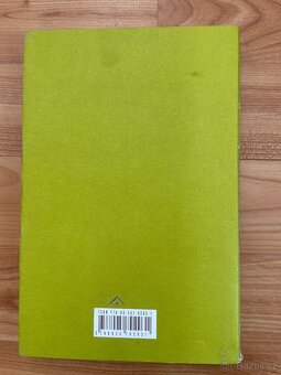 Pornografie - Witold Gombrowicz - 2
