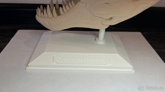 3d tisk hlava T-rexe Velka - 2