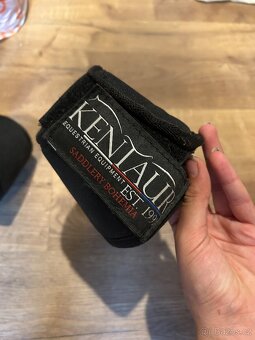 Zvony kentaur - 2