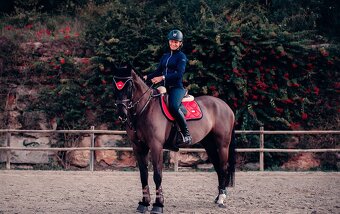 Equestrian Stockholm Grenadine DL - 2