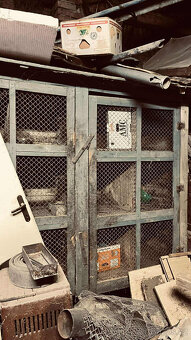 Kralikárna 12 kotců - 2