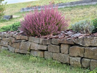 Kámen- haklík nepravidelný - 2