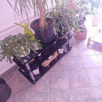 Stolek na televizi - 2