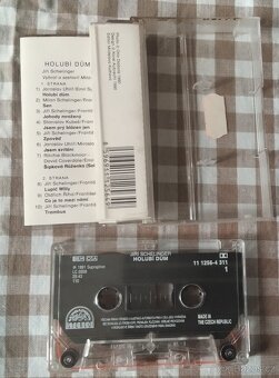 Mc Jiří Schelinger – Holubí Dům - 2