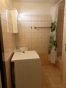 Pronájem bytu 2+kk - 2