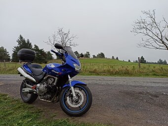 Honda CB600S Hornet - 2
