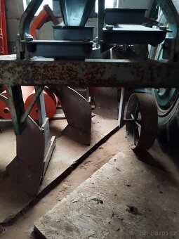 Pluh tříradličný - 2