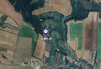 Prodej lesu v k.ú. Strážnice u Mělníka - 2