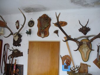Paroží - 2