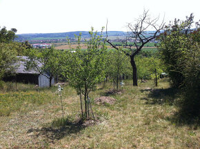Prodej zahrady s chatou, 633 m², Brno - Bosonohy - 2