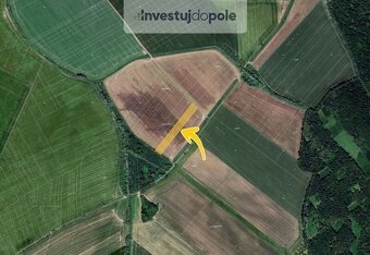 Prodej pole v k.ú. Počenice - 2