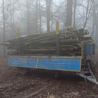 Bukové palivové dřevo - 2