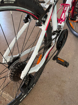SCOTT CONTESSA JR26 - 2