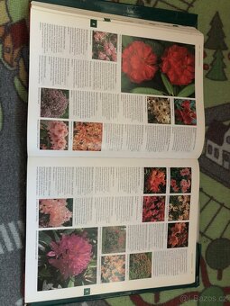 The Plant Book - anglická bichle 1020 stran - 2