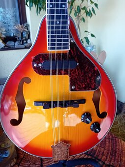 Elektroakustická mandolína - 2