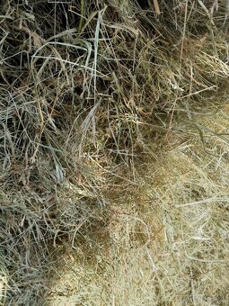 Seno v pytlích top kvalita - 2