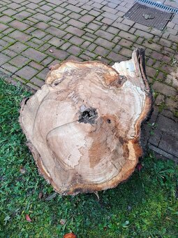 Masivní dřevo višeň - 2