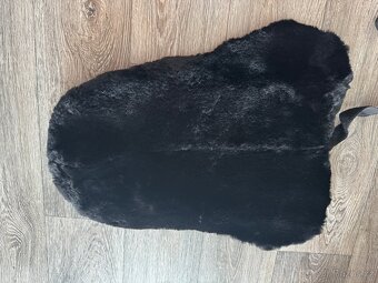 Pravý beránek Merino na posedlí - 2