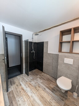 Pronájem bytu 3+KK, 55m2, Rudník - 2