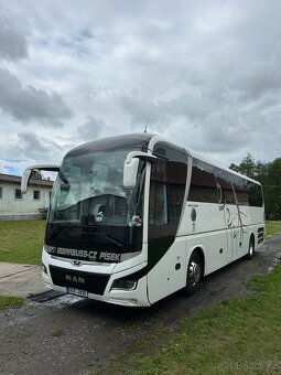 Man Lions Coach - 2