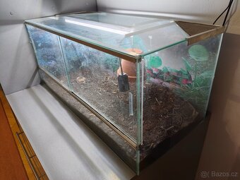 Terárium, 3 druhy osvětlení, pro želvy, plazy.. - 2