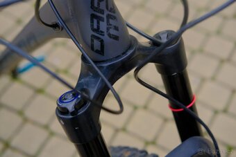 Dartmoor Primal 29 - 2