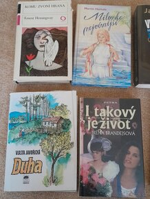 Knihy čeští autoři - 2