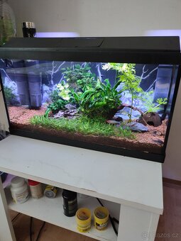 Akvárium set 60l komplet - 2