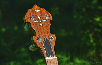 5-strunné banjo (systém Gibson) - 2