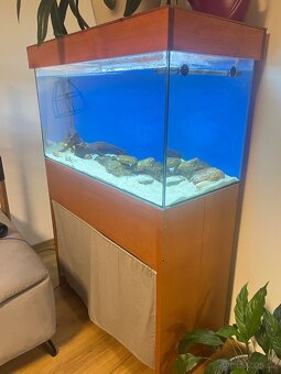 Kompletní akvarijní set – 250 l (stěhuji se) - 2