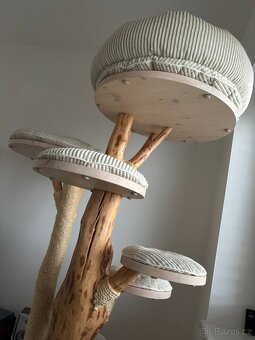 Kočičí strom Woodkocoura - 2