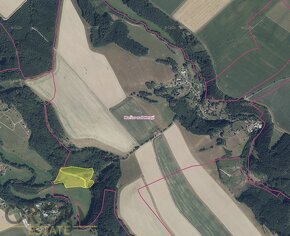 Aukce 2,7 ha pozemků v k.ú. Maršov nad Metují - 2