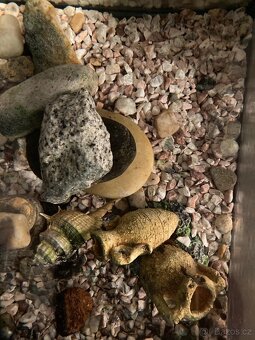 Akvarium 60x30x30 - 2
