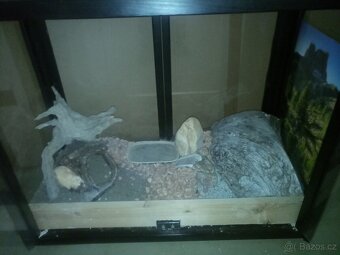 TERARIUM - 2