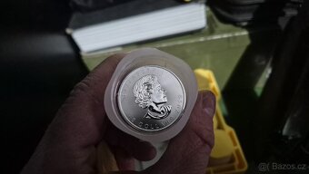 Mince investiční stříbro 1oz - 31.11g - 2