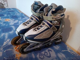Prodám kolečkové brusle Cycab Performance Comfort-39 - 2