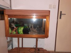 Prodam akvarium - 2