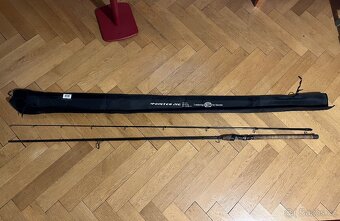 WFT Pointer jig 3.1m 20-60gr - 2