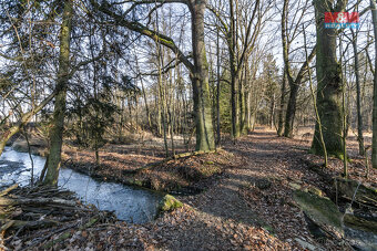 Prodej lesa, 685 m², Horšovský Týn - 2