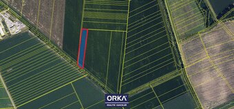 Prodej podílu 2/6 zemědělská půda, 3 949 m2 - Luběnice - 2
