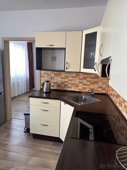 Dlouhodobý pronájem 1+1 Karlovy Vary - 2