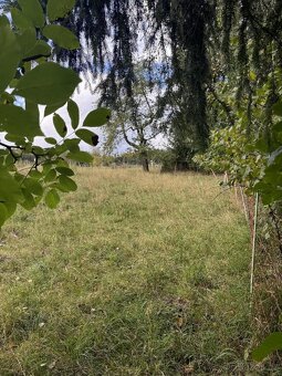 Zahrada a přilehlé pozemky v k.ú. Velké Svatoňovice - 2