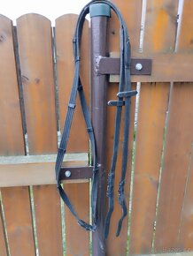 Anglická uzdečka - 2