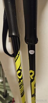 Běžkařské hůlky 110 - 2