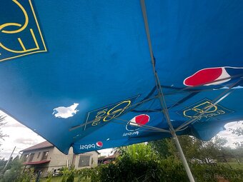 Slunečník hospodský - 2