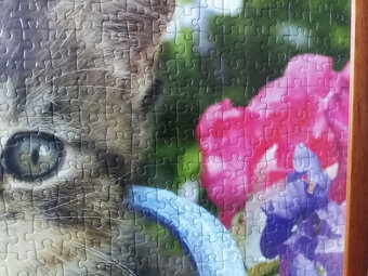 Obraz - puzzle - 2