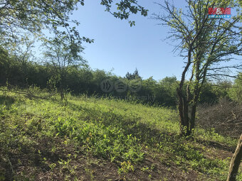 Prodej zahrady, 400 m², Postoloprty - 2